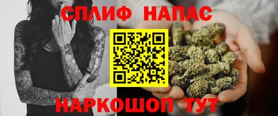 дмт Кингисепп