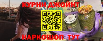 дмт Кингисепп