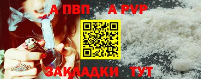 дмт Кингисепп