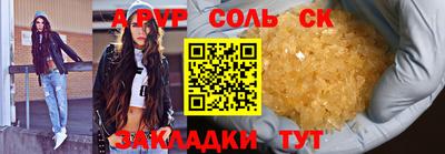 дмт Кингисепп