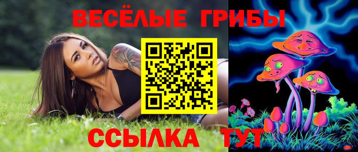 Псилоцибиновые грибы Cubensis Чебоксары