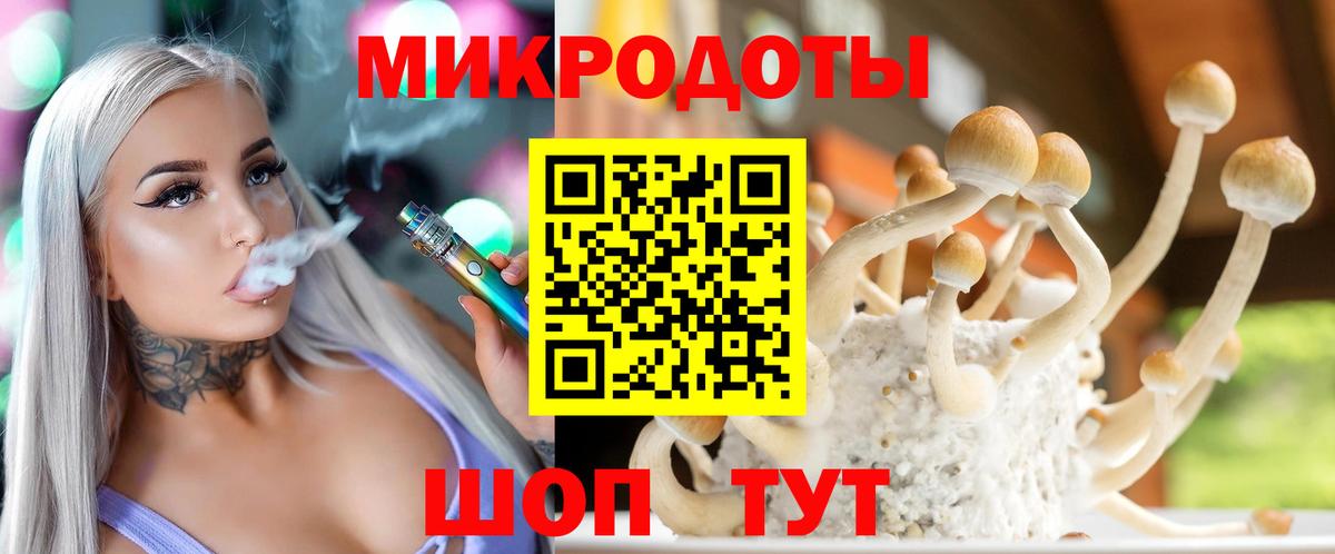 Чебоксары  Галлюциногенные грибы мухоморы  Вход с VPN 